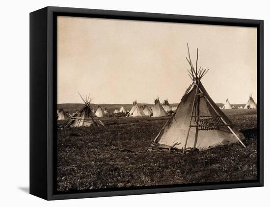 Piegan Indian Tipis, c. 1900-Science Source-Framed Stretched Canvas