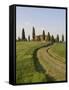 Pienza, Val D'Orcia, Siena Province, Tuscany, Italy, Europe-Pitamitz Sergio-Framed Stretched Canvas