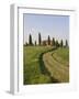 Pienza, Val D'Orcia, Siena Province, Tuscany, Italy, Europe-Pitamitz Sergio-Framed Photographic Print