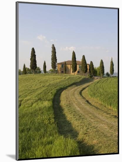 Pienza, Val D'Orcia, Siena Province, Tuscany, Italy, Europe-Pitamitz Sergio-Mounted Photographic Print
