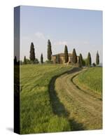 Pienza, Val D'Orcia, Siena Province, Tuscany, Italy, Europe-Pitamitz Sergio-Stretched Canvas