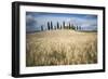 Pienza, Val d'Orcia, Tuscany, Italy-ClickAlps-Framed Photographic Print