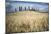 Pienza, Val d'Orcia, Tuscany, Italy-ClickAlps-Mounted Photographic Print