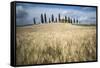 Pienza, Val d'Orcia, Tuscany, Italy-ClickAlps-Framed Stretched Canvas