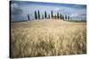 Pienza, Val d'Orcia, Tuscany, Italy-ClickAlps-Stretched Canvas