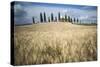 Pienza, Val d'Orcia, Tuscany, Italy-ClickAlps-Stretched Canvas