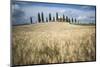 Pienza, Val d'Orcia, Tuscany, Italy-ClickAlps-Mounted Photographic Print