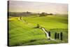 Pienza, Val d'Orcia, Tuscany-Francesco Riccardo Iacomino-Stretched Canvas