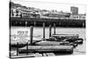 Pier 39 - Fisherman's Wharf - San Francisco - Californie - United States-Philippe Hugonnard-Stretched Canvas