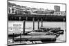 Pier 39 - Fisherman's Wharf - San Francisco - Californie - United States-Philippe Hugonnard-Mounted Photographic Print