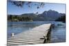 Pier and Andes on Lago Perito Moreno, Llao Llao, near Bariloche, Nahuel Huapi National Park, Lake D-Stuart Black-Mounted Photographic Print