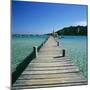 Pier and Bay, Plage De Santa Giulia, South East Corsica, Corsica, France, Mediterranean, Europe-Stuart Black-Mounted Photographic Print