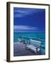 Pier and Bench at Reef, Moorea, French Polynesia, South Pacific-Walter Bibikow-Framed Premium Photographic Print