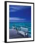 Pier and Bench at Reef, Moorea, French Polynesia, South Pacific-Walter Bibikow-Framed Premium Photographic Print