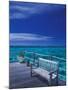 Pier and Bench at Reef, Moorea, French Polynesia, South Pacific-Walter Bibikow-Mounted Premium Photographic Print