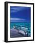 Pier and Bench at Reef, Moorea, French Polynesia, South Pacific-Walter Bibikow-Framed Photographic Print