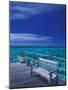 Pier and Bench at Reef, Moorea, French Polynesia, South Pacific-Walter Bibikow-Mounted Photographic Print