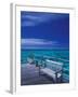 Pier and Bench at Reef, Moorea, French Polynesia, South Pacific-Walter Bibikow-Framed Photographic Print