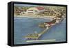 Pier and Convention Hall, Atlantic City, New Jersey-null-Framed Stretched Canvas