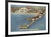 Pier and Convention Hall, Atlantic City, New Jersey-null-Framed Premium Giclee Print