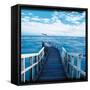 Pier and Dolphins-Colin Anderson-Framed Stretched Canvas