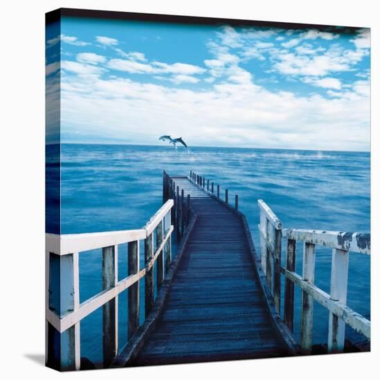 Pier and Dolphins-Colin Anderson-Stretched Canvas