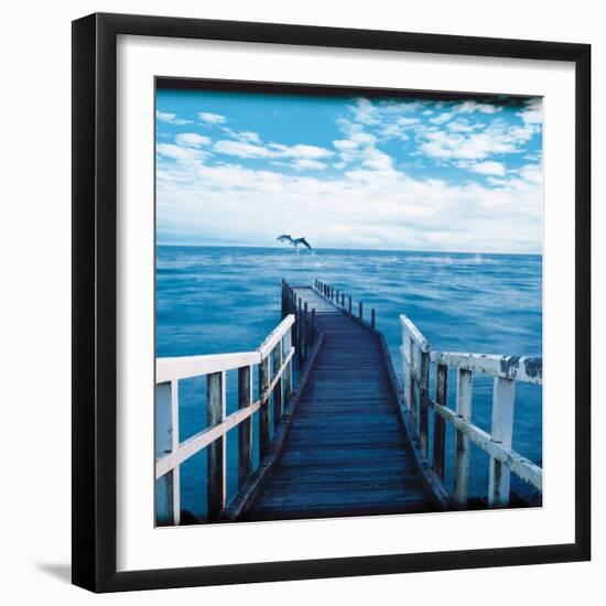 Pier and Dolphins-Colin Anderson-Framed Photographic Print