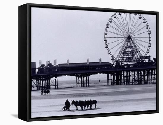 Pier and Donkey Rides, Blackpool, England-Walter Bibikow-Framed Stretched Canvas