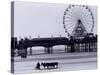 Pier and Donkey Rides, Blackpool, England-Walter Bibikow-Stretched Canvas