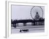 Pier and Donkey Rides, Blackpool, England-Walter Bibikow-Framed Photographic Print