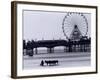 Pier and Donkey Rides, Blackpool, England-Walter Bibikow-Framed Photographic Print