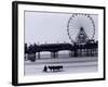 Pier and Donkey Rides, Blackpool, England-Walter Bibikow-Framed Photographic Print