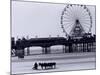 Pier and Donkey Rides, Blackpool, England-Walter Bibikow-Mounted Photographic Print