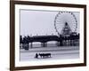 Pier and Donkey Rides, Blackpool, England-Walter Bibikow-Framed Photographic Print