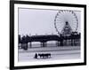 Pier and Donkey Rides, Blackpool, England-Walter Bibikow-Framed Photographic Print