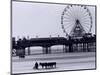 Pier and Donkey Rides, Blackpool, England-Walter Bibikow-Mounted Photographic Print