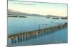 Pier and Wharf, Santa Barbara, California-null-Mounted Art Print