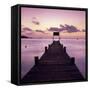 Pier at Dawn, Plage De Santa Giulia, South East Corsica, Corsica, France, Mediterranean, Europe-Stuart Black-Framed Stretched Canvas