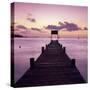 Pier at Dawn, Plage De Santa Giulia, South East Corsica, Corsica, France, Mediterranean, Europe-Stuart Black-Stretched Canvas