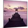 Pier at Dawn, Plage De Santa Giulia, South East Corsica, Corsica, France, Mediterranean, Europe-Stuart Black-Mounted Photographic Print