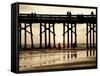 Pier at Sunset, Newport Beach, Orange County, California, United States of America, North America-Richard Cummins-Framed Stretched Canvas