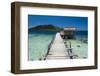 Pier at Twin Beach, a Tropical White Sand Beach Near Padang in West Sumatra, Indonesia-Matthew Williams-Ellis-Framed Photographic Print