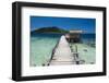 Pier at Twin Beach, a Tropical White Sand Beach Near Padang in West Sumatra, Indonesia-Matthew Williams-Ellis-Framed Photographic Print