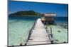 Pier at Twin Beach, a Tropical White Sand Beach Near Padang in West Sumatra, Indonesia-Matthew Williams-Ellis-Mounted Photographic Print