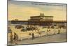 Pier, Casino, Daytona Beach, Florida-null-Mounted Art Print