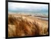 Pier Cove Beach With Autumn Grasses-Michelle Calkins-Framed Photo