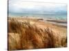 Pier Cove Beach With Autumn Grasses-Michelle Calkins-Stretched Canvas