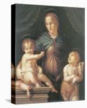 The Virgin And Child With The Young Saint John The Baptist-Pier Francesco Foschi-Stretched Canvas