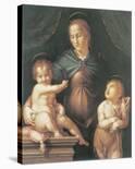 The Virgin And Child With The Young Saint John The Baptist-Pier Francesco Foschi-Framed Premium Giclee Print