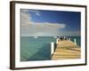 Pier, Grace Bay, Providenciales Island, Turks and Caicos, Caribbean-Walter Bibikow-Framed Photographic Print